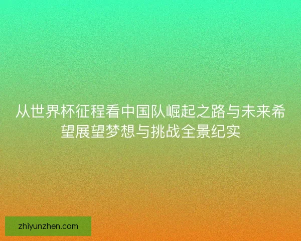 从世界杯征程看中国队崛起之路与未来希望展望梦想与挑战全景纪实